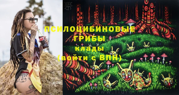 эйфоретик Нея