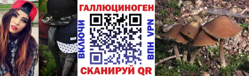 площадка официальный сайт  где продают наркотики  Ильский  Галлюциногенные грибы Psilocybe 